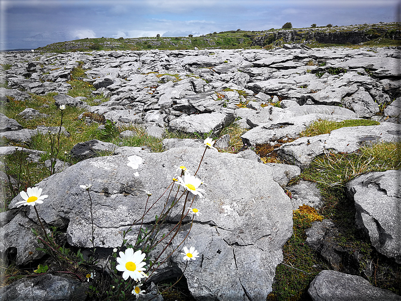 foto Parco nazionale del Burren